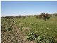 Lot 202 Jennings Lane, Molong NSW 2866