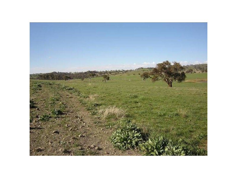 Lot 202 Jennings Lane, Molong NSW 2866