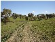 Lot 202 Jennings Lane, Molong NSW 2866