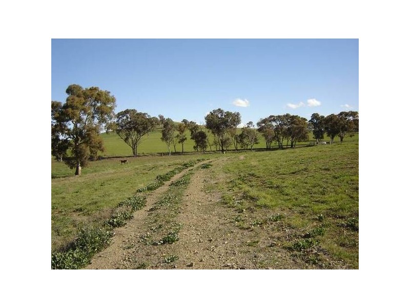 Lot 202 Jennings Lane, Molong NSW 2866