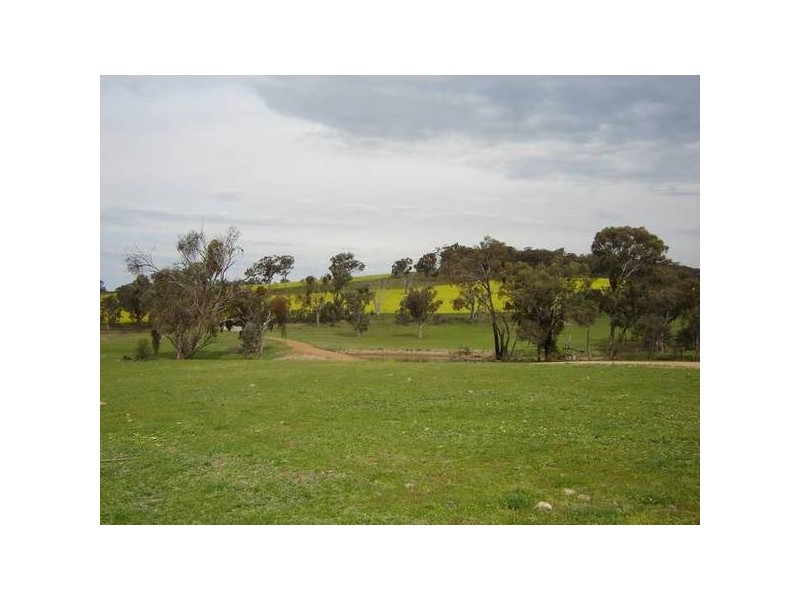 1179 Peabody Road, Molong NSW 2866