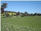1179 Peabody Road, Molong NSW 2866
