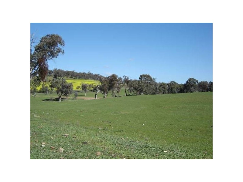 1179 Peabody Road, Molong NSW 2866