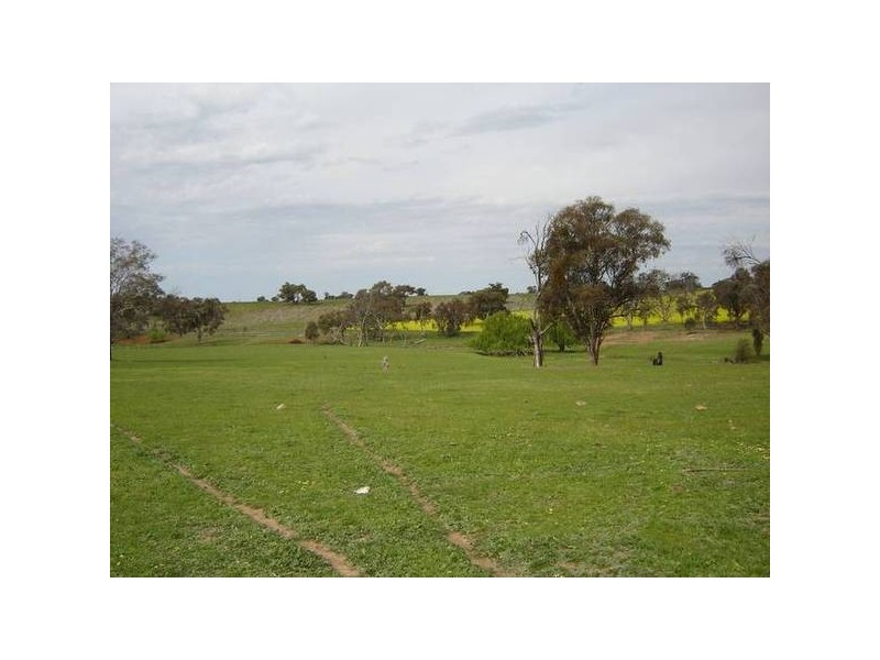 1179 Peabody Road, Molong NSW 2866