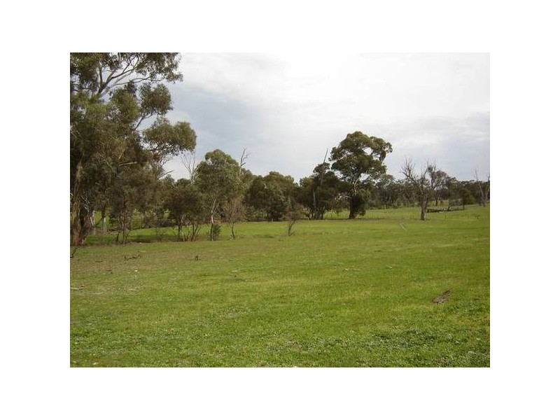 1179 Peabody Road, Molong NSW 2866