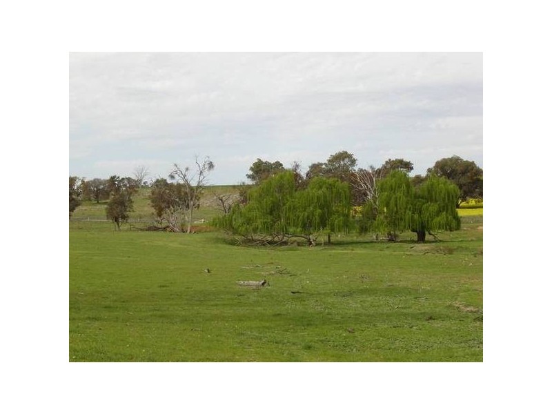 1179 Peabody Road, Molong NSW 2866