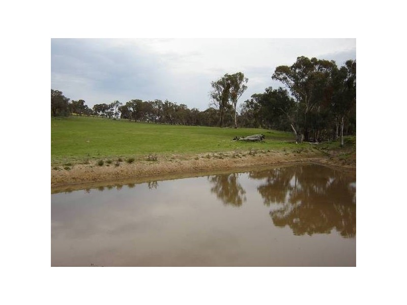 1179 Peabody Road, Molong NSW 2866