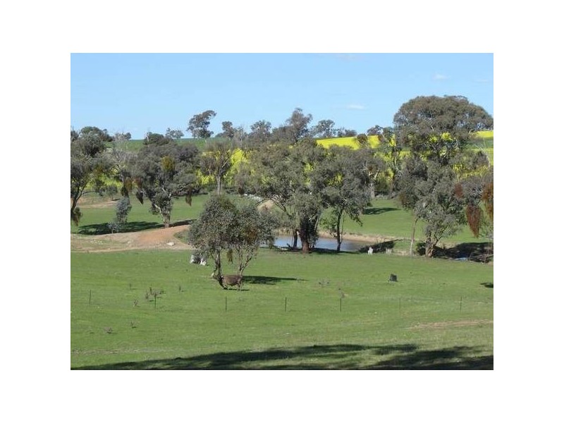 1179 Peabody Road, Molong NSW 2866