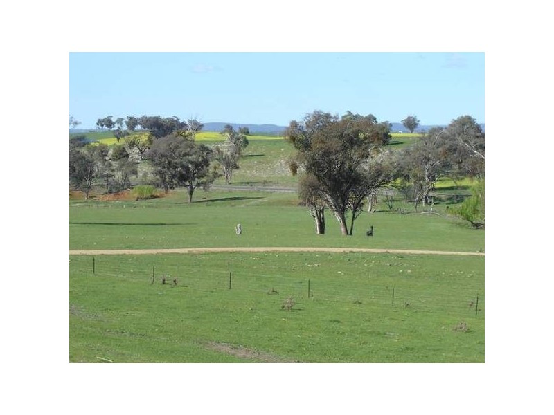 1179 Peabody Road, Molong NSW 2866