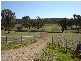 1179 Peabody Road, Molong NSW 2866