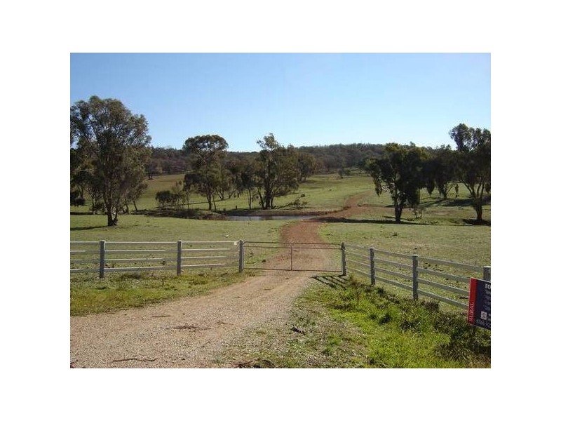 1179 Peabody Road, Molong NSW 2866