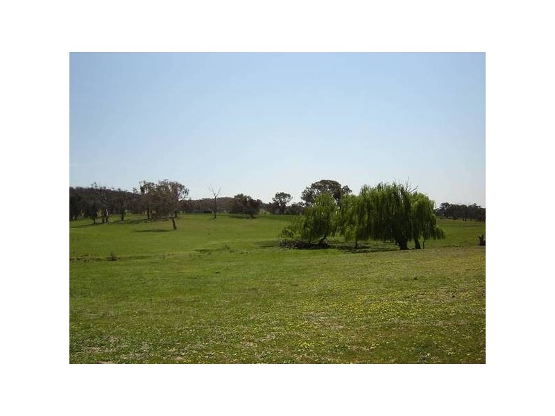 1179 Peabody Road, Molong NSW 2866