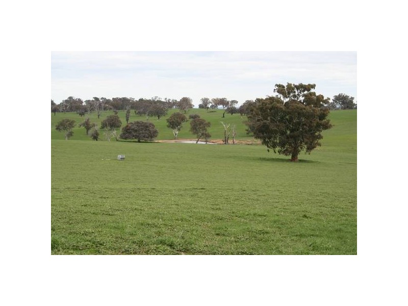 Lawson Road, Orange NSW 2800