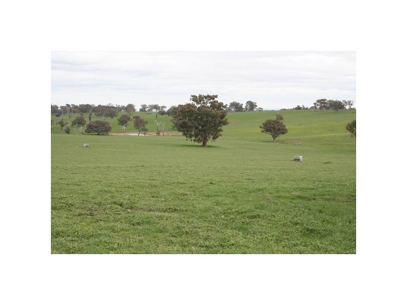 Lawson Road, Orange NSW 2800