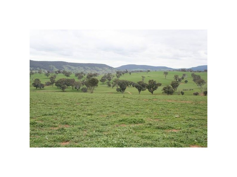 Lawson Road, Orange NSW 2800