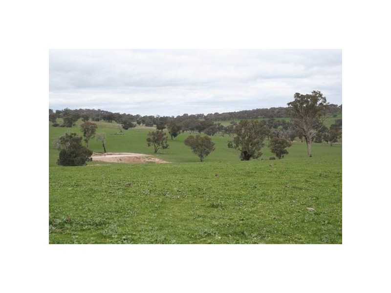 Lawson Road, Orange NSW 2800