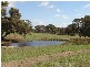 – Burra Burra, Molong NSW 2866