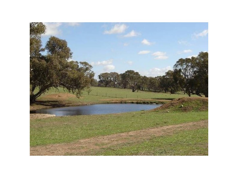 – Burra Burra, Molong NSW 2866