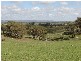 – Burra Burra, Molong NSW 2866