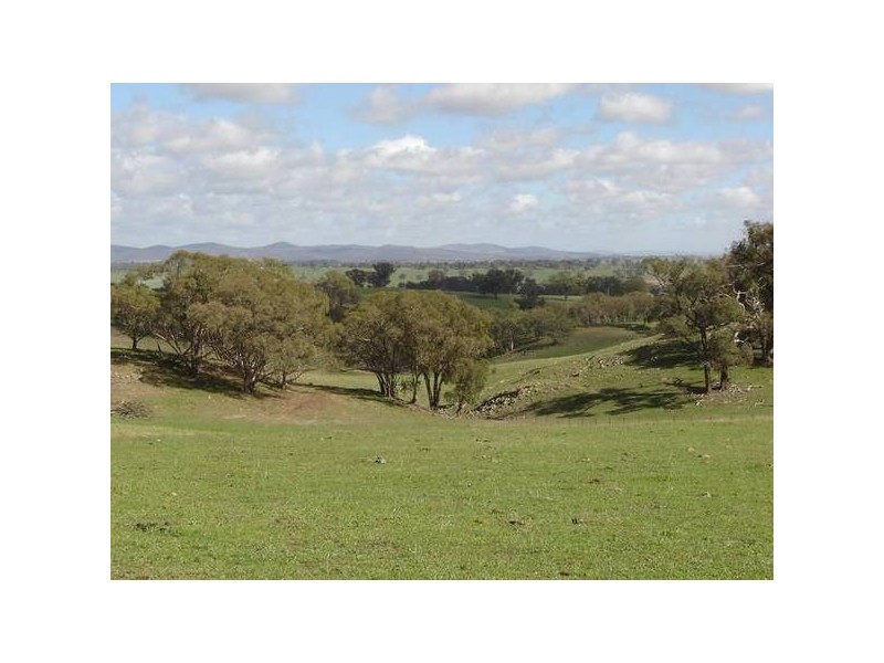 – Burra Burra, Molong NSW 2866