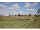 – Burra Burra, Molong NSW 2866
