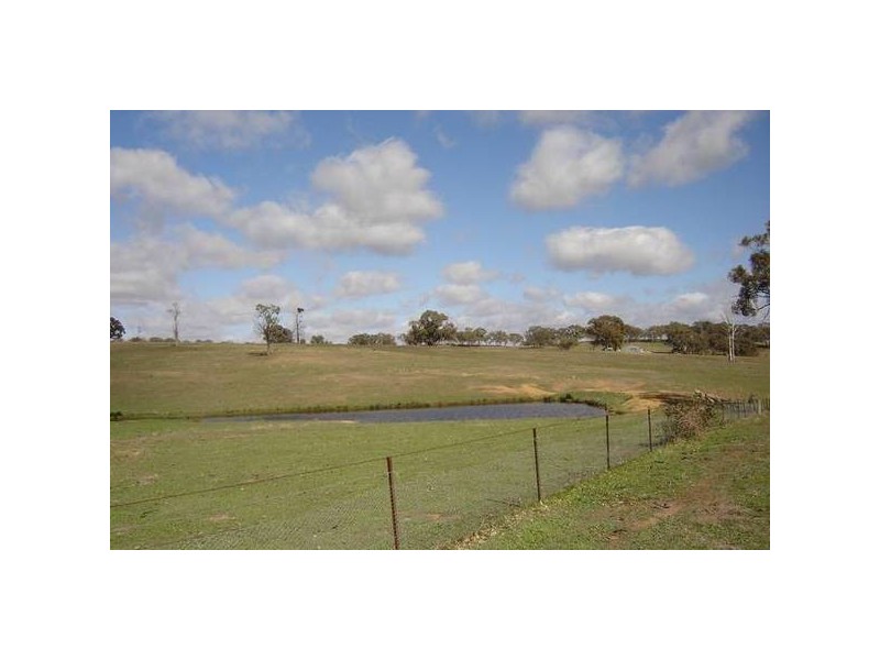– Burra Burra, Molong NSW 2866