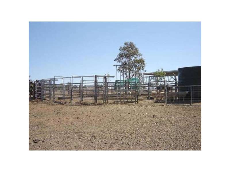 – Burra Burra, Molong NSW 2866
