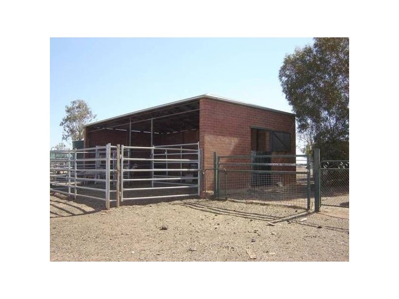 – Burra Burra, Molong NSW 2866