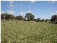 – Burra Burra, Molong NSW 2866