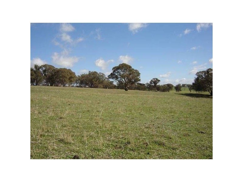 – Burra Burra, Molong NSW 2866
