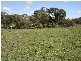 – Burra Burra, Molong NSW 2866