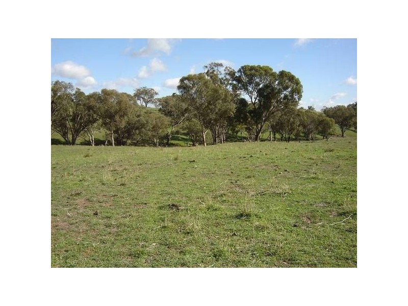 – Burra Burra, Molong NSW 2866
