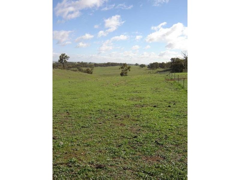 – Burra Burra, Molong NSW 2866