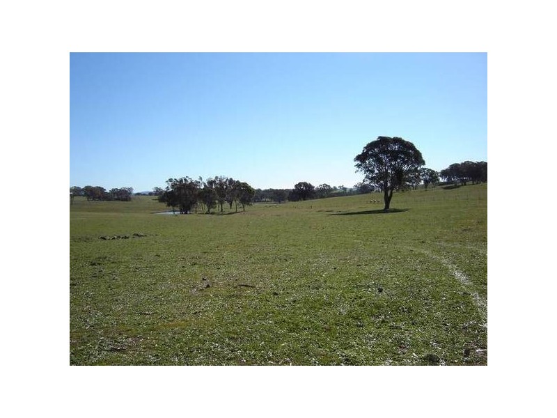 – Burra Burra, Molong NSW 2866