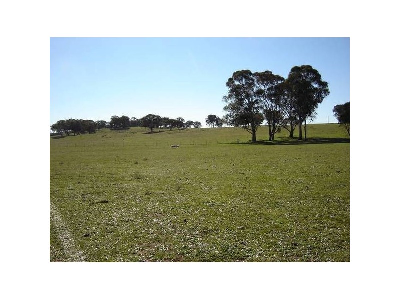 – Burra Burra, Molong NSW 2866