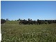 – Burra Burra, Molong NSW 2866