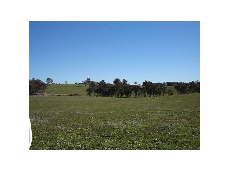 – Burra Burra, Molong NSW 2866