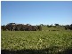 – Burra Burra, Molong NSW 2866