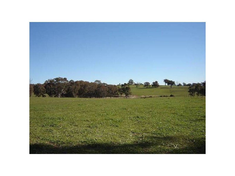 – Burra Burra, Molong NSW 2866