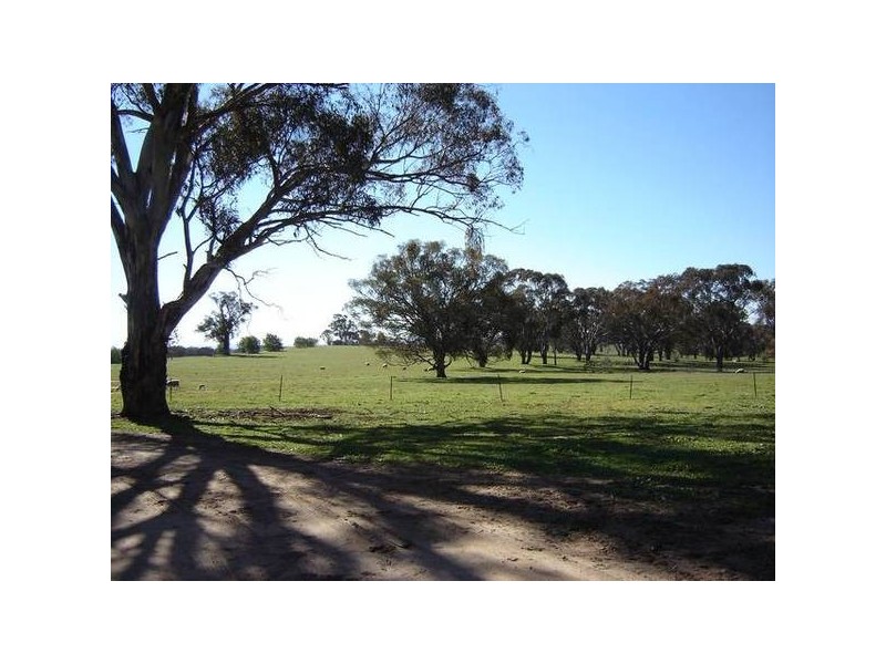 – Burra Burra, Molong NSW 2866