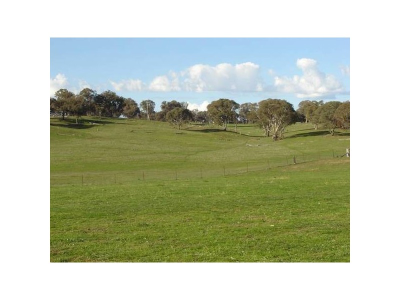 – Burra Burra, Molong NSW 2866