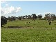 – Burra Burra, Molong NSW 2866