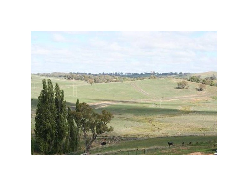 305 James Dalton DRIVE, Orange NSW 2800