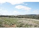 305 James Dalton DRIVE, Orange NSW 2800