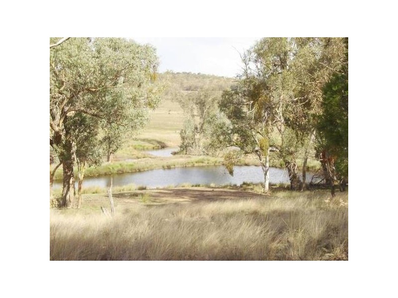 - Peck’s Road, Molong NSW 2866