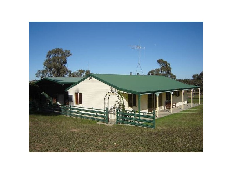 - Peck’s Road, Molong NSW 2866