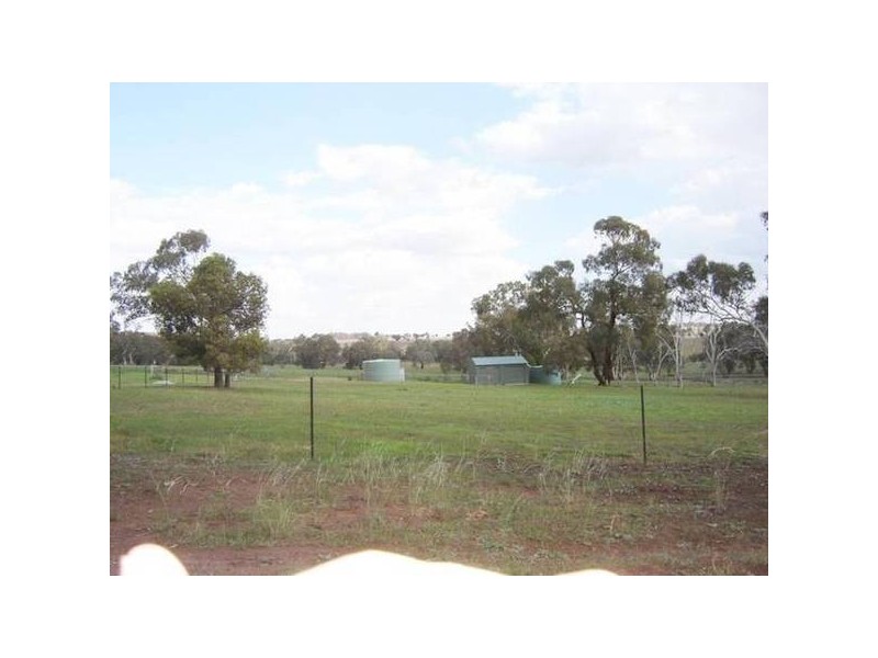 - Peck’s Road, Molong NSW 2866
