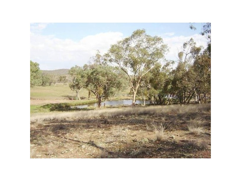 - Peck’s Road, Molong NSW 2866