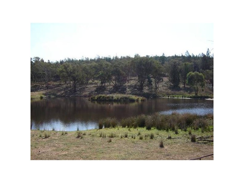 - Peck’s Road, Molong NSW 2866