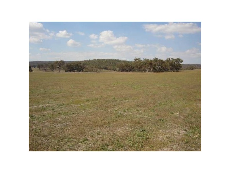 - Peck’s Road, Molong NSW 2866